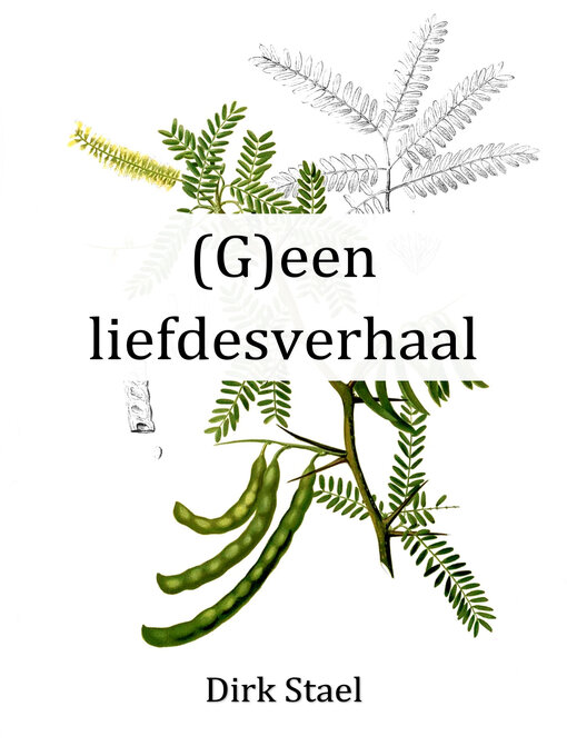 Title details for (G)een liefdesverhaal by Dirk Stael - Available